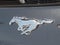 2023 Ford Mustang EcoBoost Fastback