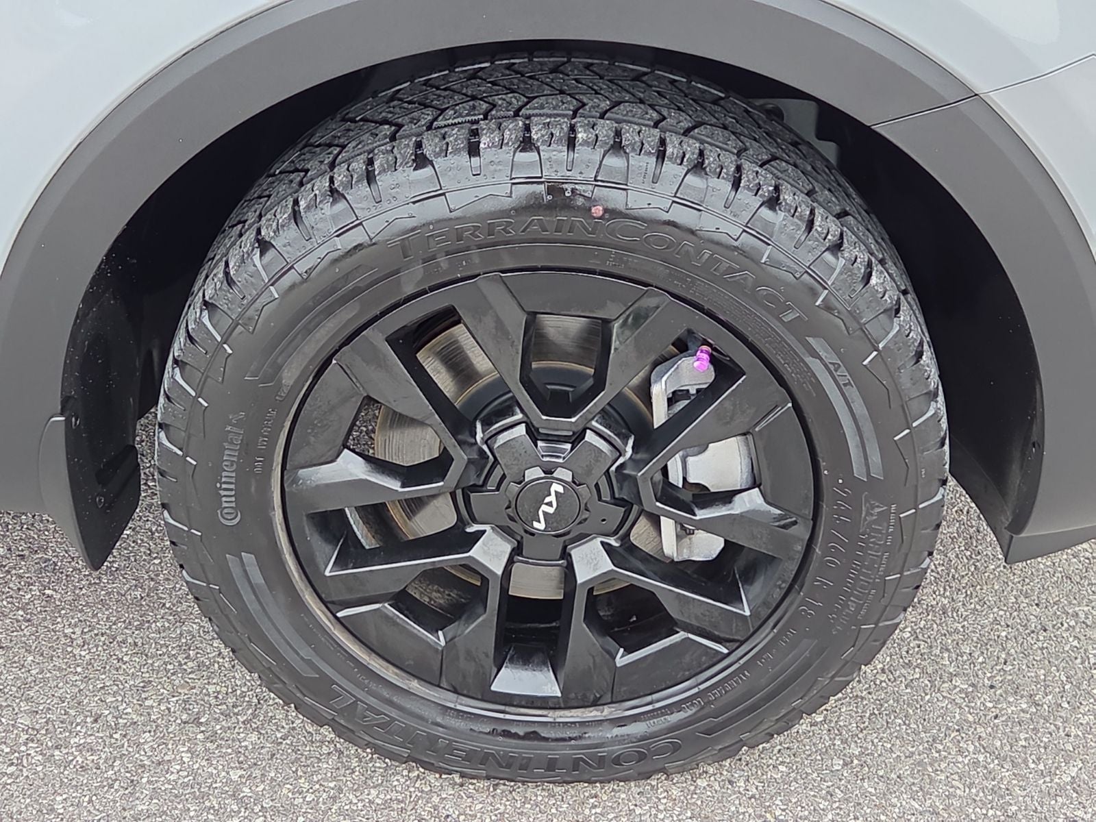 2023 Kia Telluride SX-Prestige X-Pro