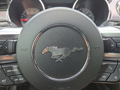 2017 Ford Mustang EcoBoost